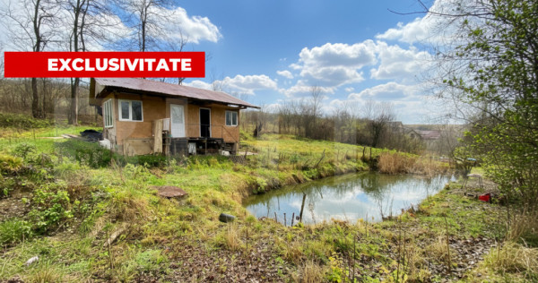 Teren intravilan 1150 mp cu cabana si balta, Sat Craesti