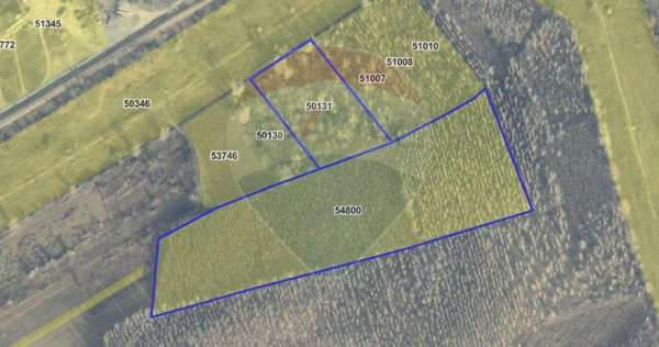 Teren / Padure 8ha Lunca Siretului.