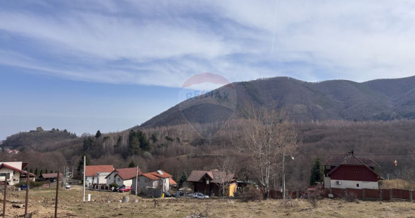 Teren 1,697mp Cisnadioara / Strada Silvicultorilor