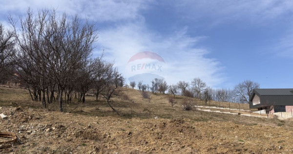 Teren 1,697mp Cisnadioara / Strada Silvicultorilor
