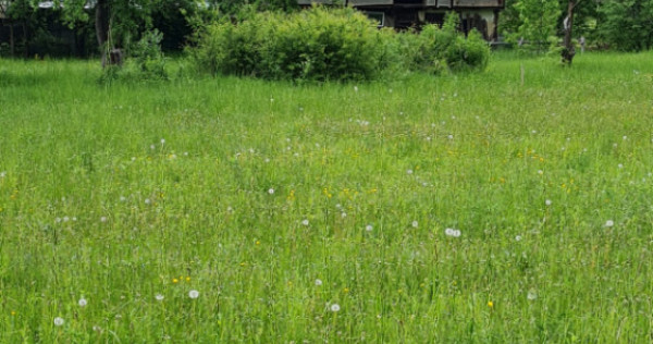 Teren splendid Vaduri cu utilități si vecini de calitate