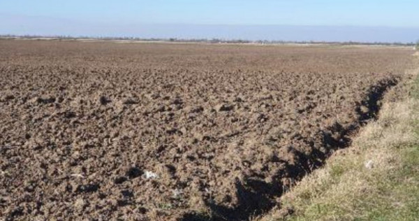 Teren extravilan- Com. Siria, jud. Arad