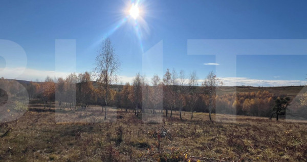 Teren construibil de vanzare, zona casele Micesti