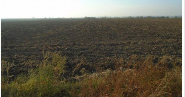 Teren extravilan Loc. Bucovat sat Sarbatoarea, jud. Dolj