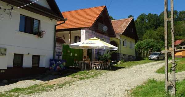 Casa Ocazie!Oaza de liniste sat Colun,572mp,la 40km de Sibiu