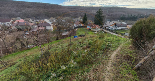 Teren intravilan de 1665 mp cu priveliste spre padure &ndash; Mi