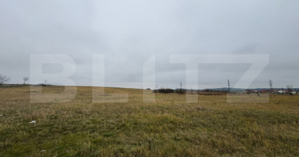 Teren intravilan 7665mp in Pricaz