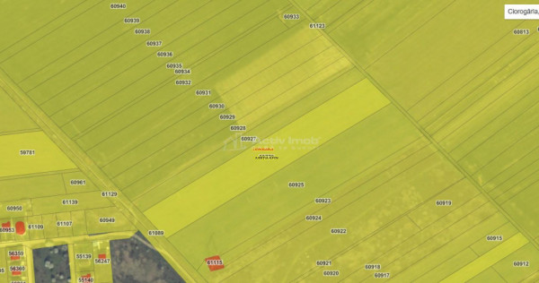 Teren intravilan, 12000 mp, Ciorogarla, jud. Ilfov