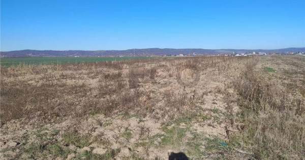 RECO Teren extravilan, centura Cheriu