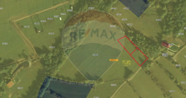 Comision 0% | 2 parcele x 650 mp | Priveliste Bucegi,Magu...