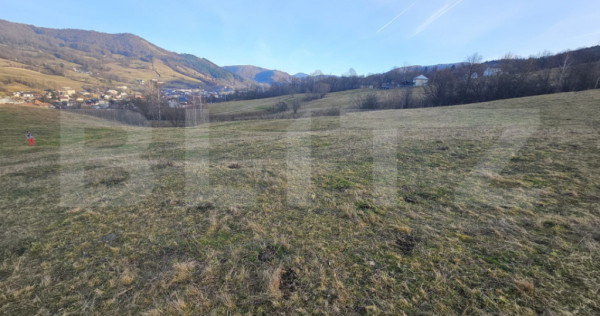 Teren intravilan de 16667 mp, Sosea de Centura, Abrud