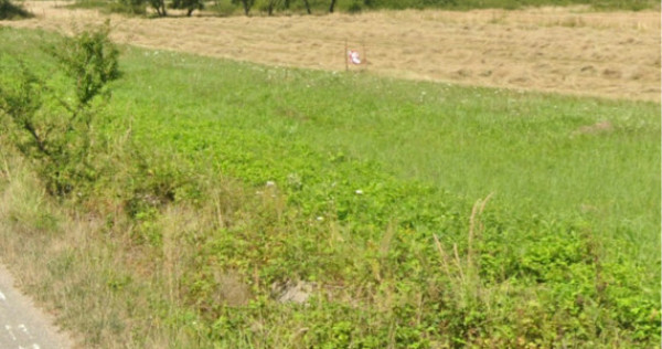 Teren agricol, 2000mp, Caransebeș, Caraș-Severin