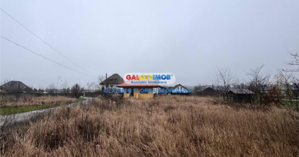 Casa de vacanta de in Satul Brancovenesc - Balteni, Peris