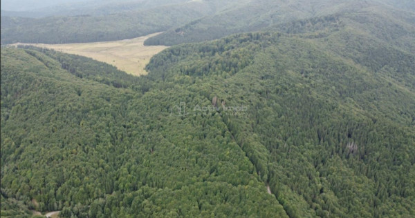 Teren 7 ha, Lac Vidraru, Podis Molivis