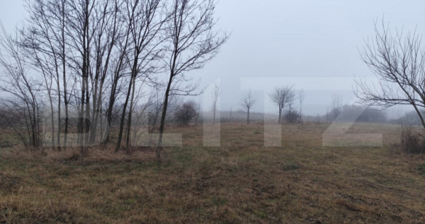 Teren intravilan 1958 mp, Ciurea-Chihan