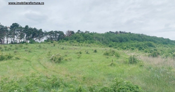 Teren zona Pietricica, cadru natural superb