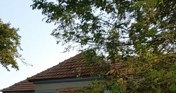 Casa P, 96 mp, teren 1948, Silistea Crucii