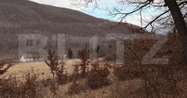 De vanzare Teren extravilan 3300mp - padure, loc. Salicea, j