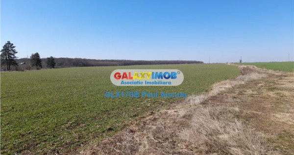 Teren Saftica 39300 mp latura Lac si Padure apropiere DN1