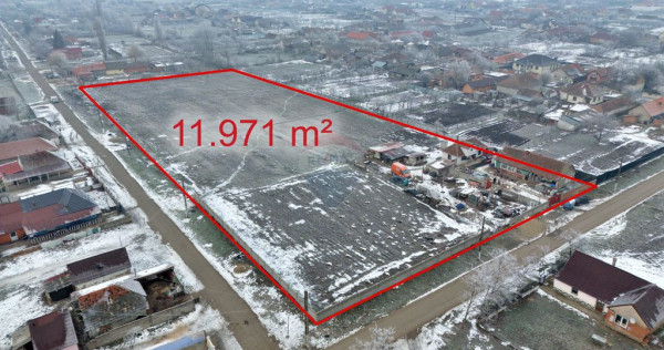 Teren intravilan de v&acirc;nzare 11.971 mp, Șimand, jud. Arad