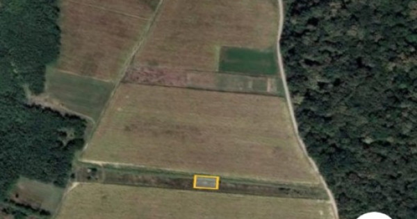 Teren extravilan Valea Ursului