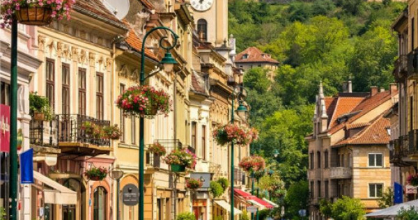 Preluare afacere pensiune administrare in regim turistic, Ce