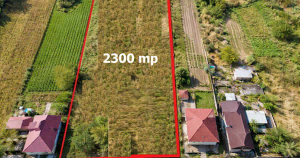 Teren intravilan Comana 2300 mp Front 12,5 m Comision 0%