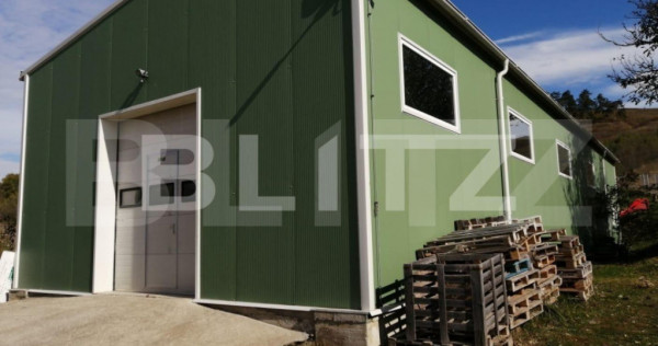 Hala industriala, 210 mp utili, 4100 mp teren, zona Bontida