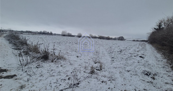 Teren intravilan Moara Bulai 51 ari