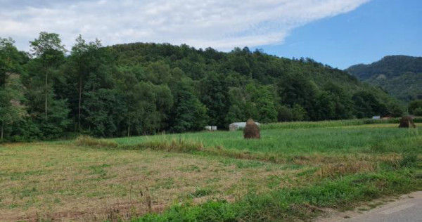 Doua terenuri extravilane 1440 mp si 1500 mp, com.BAITA jud.HUNEDOARA