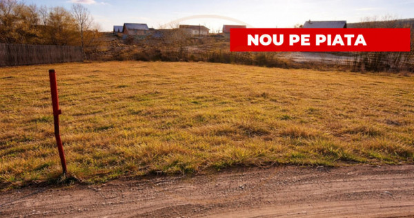 Teren 631 m2 intravilan Smeura - Stoenari