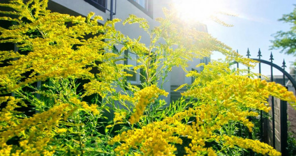 Proprietate gata de mutat, P E; curte proprie, Tarlungeni, I