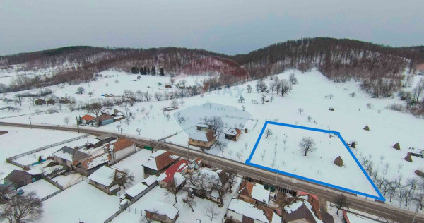 Teren intravilan, de v&acirc;nzare &icirc;n Damiș- Bratca pe Strad...