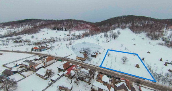 Teren intravilan, de v&acirc;nzare &icirc;n Damiș- Bratca pe Strad...