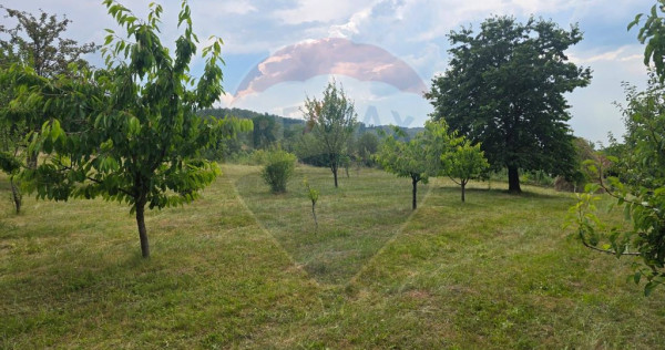 Teren intravilan, de v&acirc;nzare &icirc;n Damiș- Bratca pe Strad...