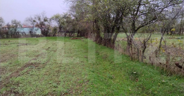 Ocazie investiţie! Teren intravilan cu acces stradal, Petre