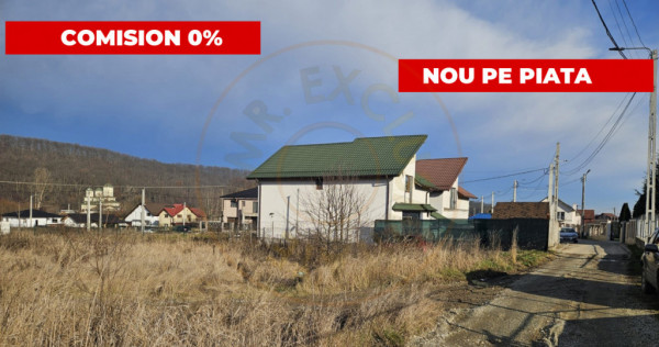 Teren 1.250 mp, toate utilitatile &ndash; Bascov, Valea Ursului,