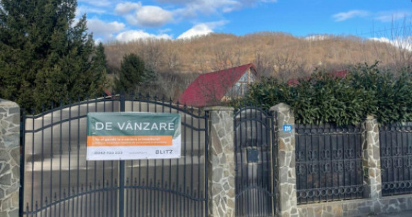 Oportunitate! Casa P+1 deosebita, 223mp, teren 2544mp, Cicar