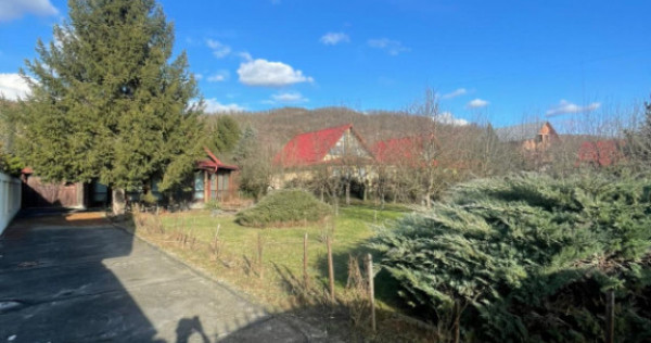 Oportunitate! Casa P+1 deosebita, 223mp, teren 2544mp, Cicar