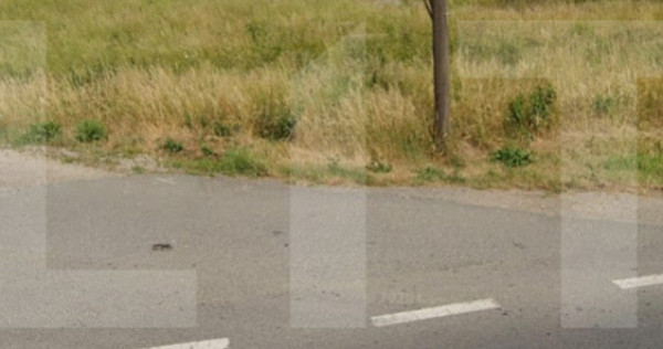 Teren intravilan 5.600 mp cu deschidere la DN12 &ndash; Chilieni