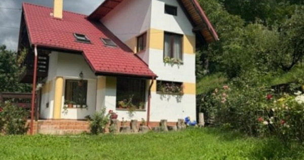 Casă, Bistrița, 1000 mp teren. Preț 590 eur/ lună