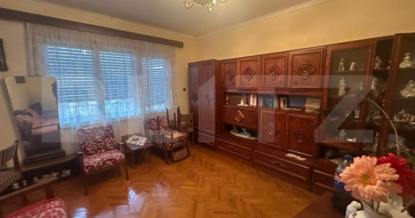 Casă cu teren generos de 6000 mp &icirc;n Viile Satu Mare &ndash; zo