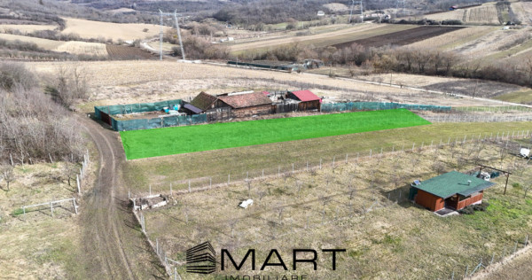 Teren intravilan 1000mp strada Salcamilor Gusterita