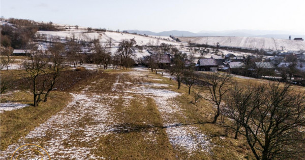 Film! Domeniu de 2.819 mp, cu casa, Mereni, Covasna.