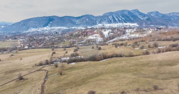 Teren Tohanul Nou 5602mp