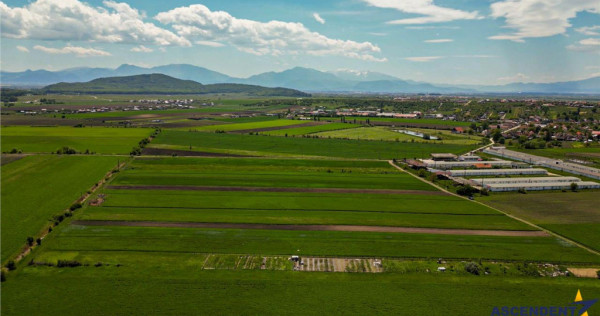 FILM! Teren extravilan 5.000 mp in zona linistita cu acces f