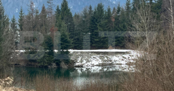 Teren de 10 ari, zona Colibita langa lac