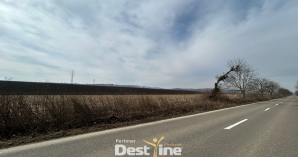 Teren de vanzare Caciulesti 10.000 Euro 1300mp