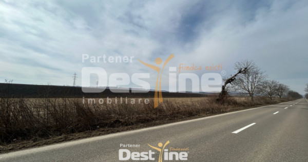 Teren de vanzare Caciulesti 10.000 Euro 1300mp