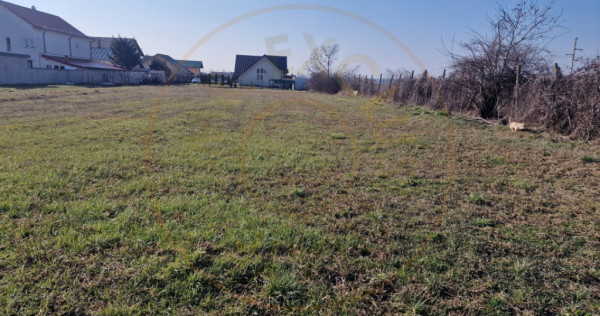 Teren intravilan Argeselu!